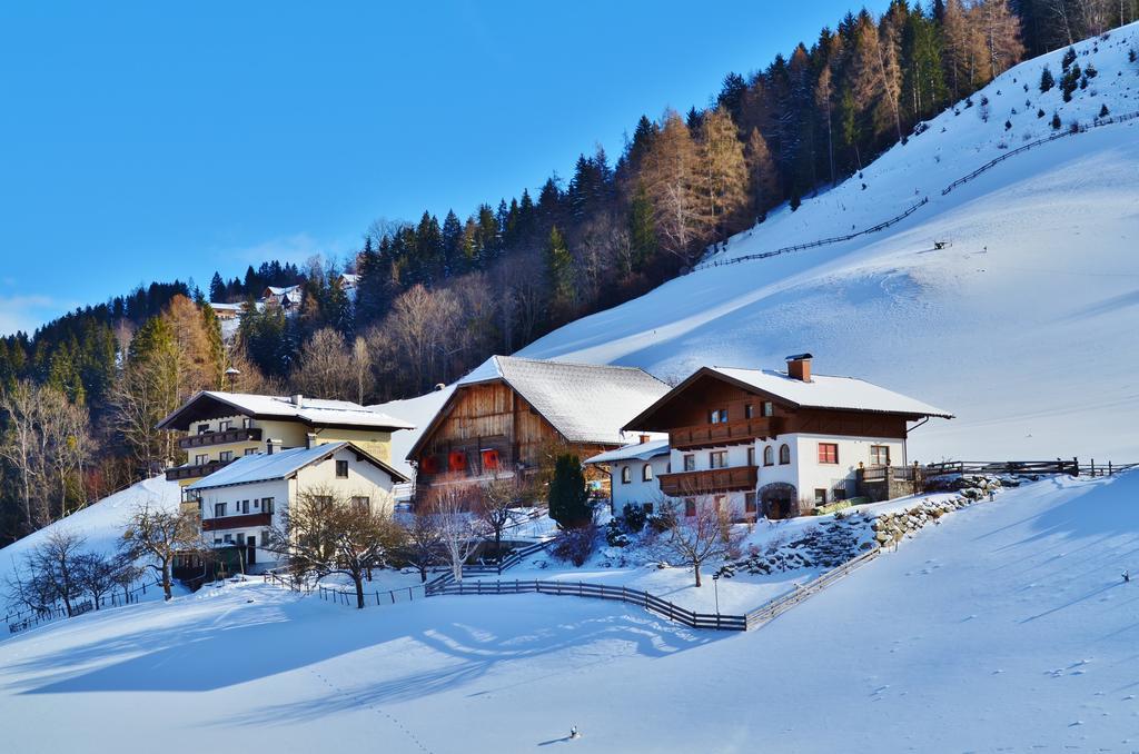 Spreitzhof - Appartements سخلادميخ المظهر الخارجي الصورة