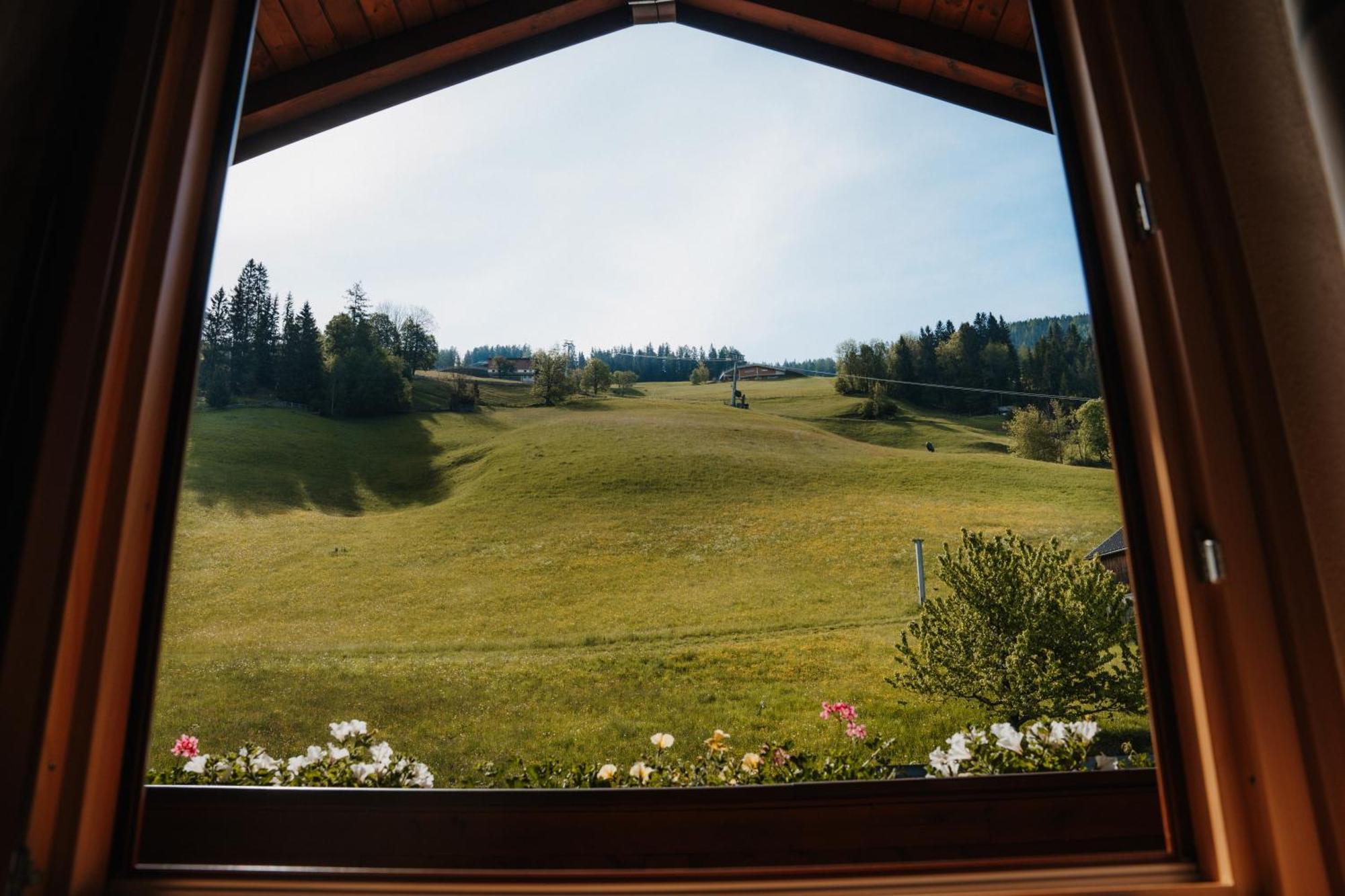 Spreitzhof - Appartements سخلادميخ المظهر الخارجي الصورة