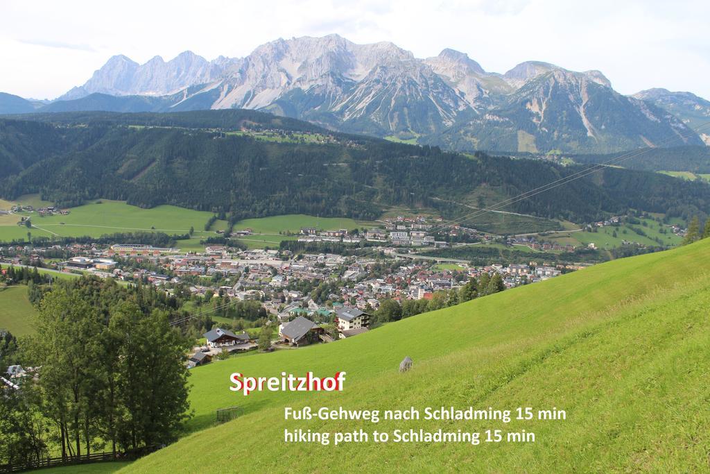 Spreitzhof - Appartements سخلادميخ المظهر الخارجي الصورة